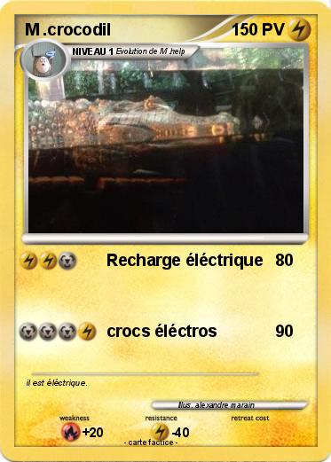 Pokemon M .crocodil