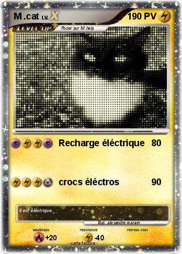 Pokemon M .cat