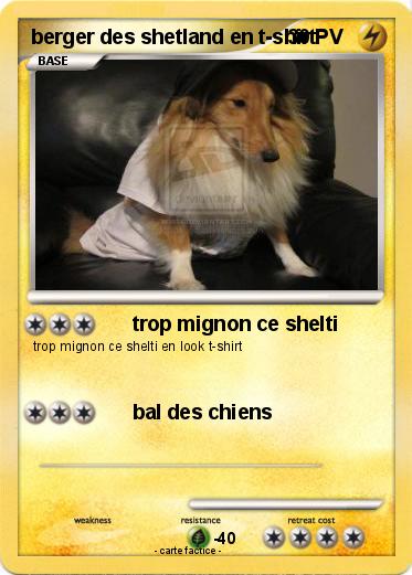 Pokemon berger des shetland en t-shirt