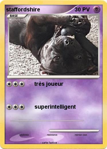 Pokemon staffordshire