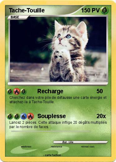 Pokemon Tache-Touille