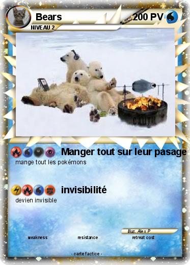 Pokemon Bears