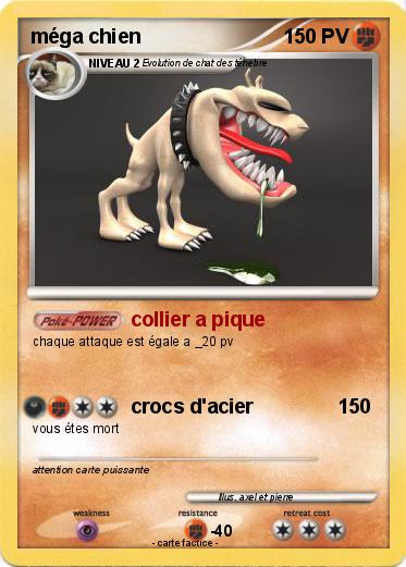 Pokemon méga chien