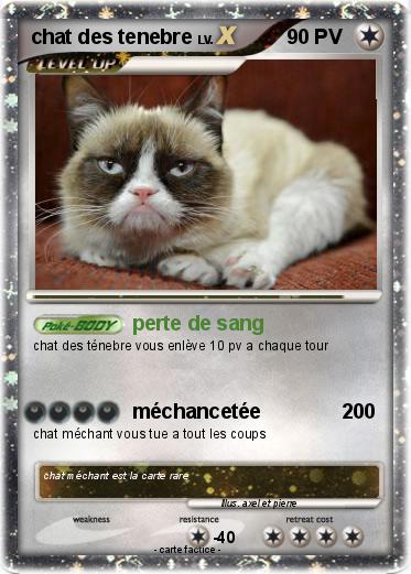 Pokemon chat des tenebre