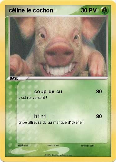 Pokemon céline le cochon