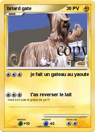 Pokemon briard gate