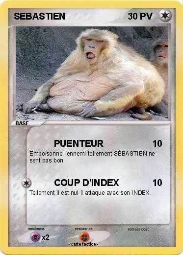 Pokemon SEBASTIEN