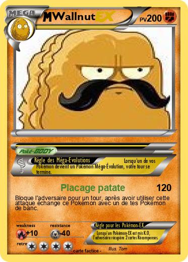 Pokemon Wallnut