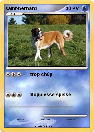 Pokemon saint-bernard