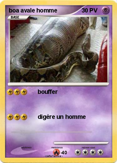 Pokemon boa avale homme