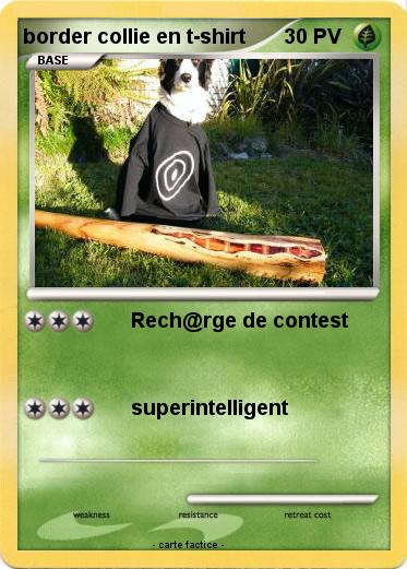 Pokemon border collie en t-shirt
