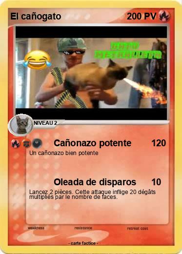Pokemon El cañogato