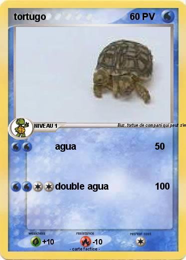Pokemon tortugo