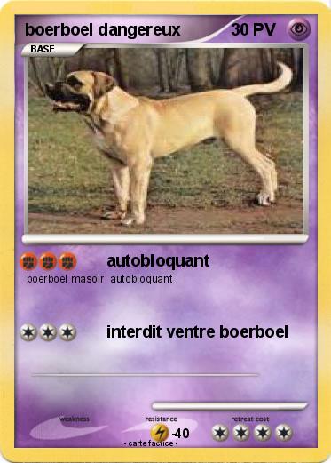Pokemon boerboel dangereux