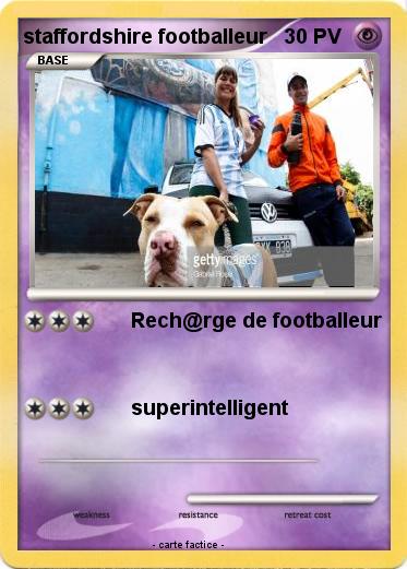 Pokemon staffordshire footballeur