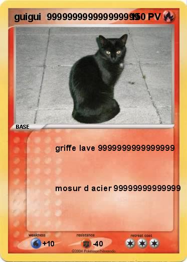 Pokemon guigui  999999999999999999