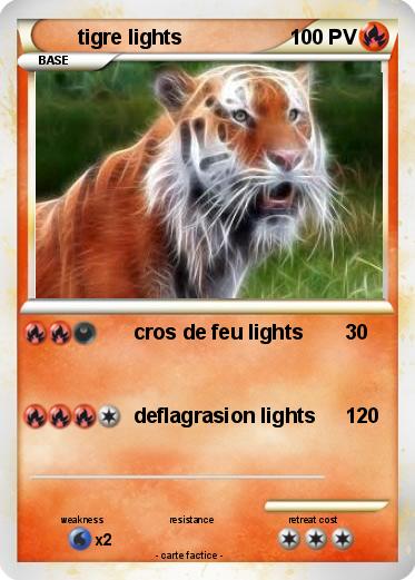 Pokemon tigre lights