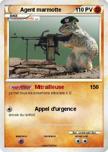 Pokemon Agent marmotte
