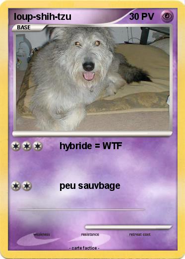 Pokemon loup-shih-tzu
