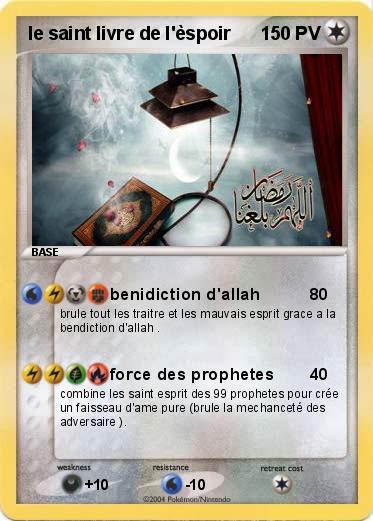 Pokemon le saint livre de l'èspoir