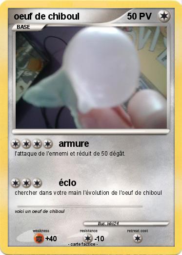 Pokemon oeuf de chiboul
