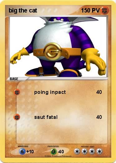 Pokemon big the cat