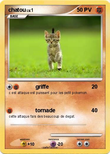 Pokemon chatou