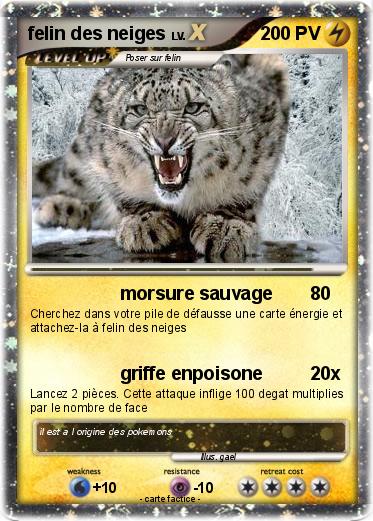 Pokemon felin des neiges