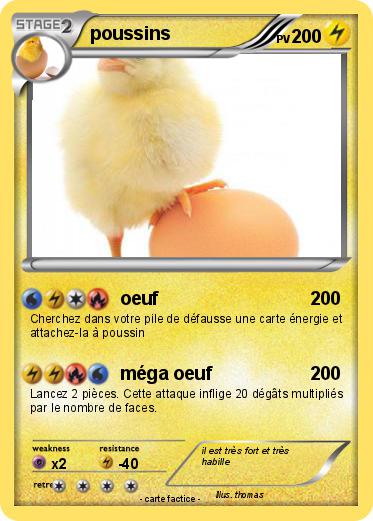 Pokemon poussins
