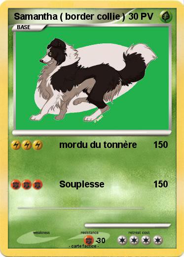 Pokemon Samantha ( border collie )