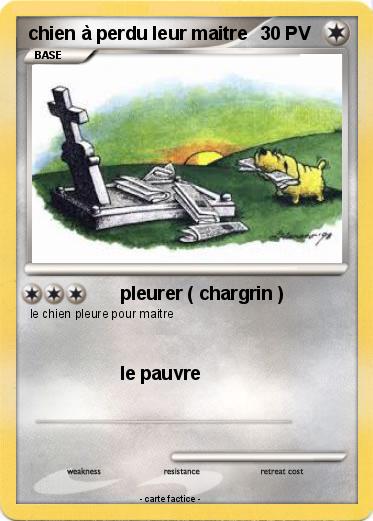 Pokemon chien à perdu leur maitre