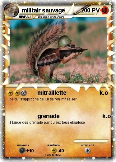 Pokemon militair sauvage