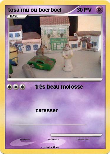 Pokemon tosa inu ou boerboel