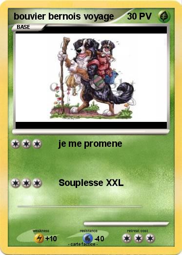 Pokemon bouvier bernois voyage