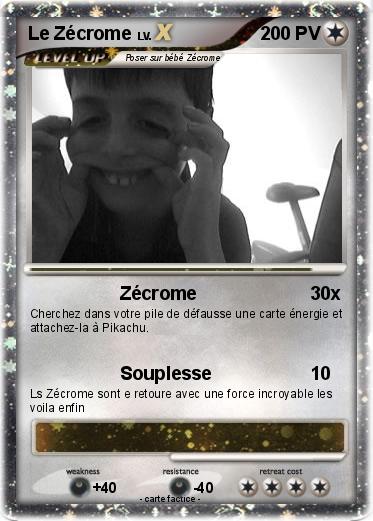 Pokemon Le Zécrome