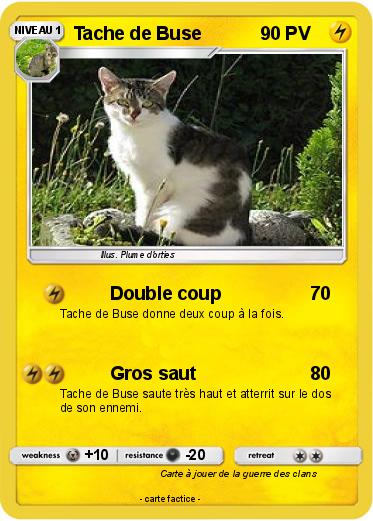 Pokemon Tache de Buse