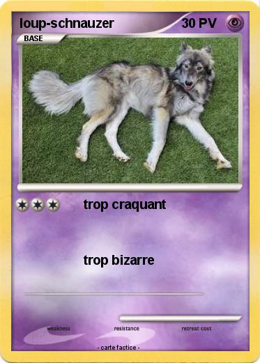 Pokemon loup-schnauzer
