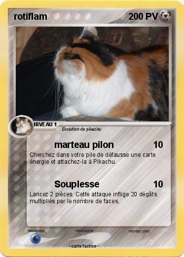 Pokemon rotiflam