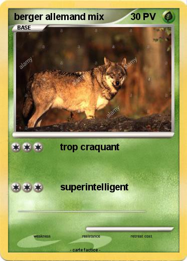 Pokemon berger allemand mix