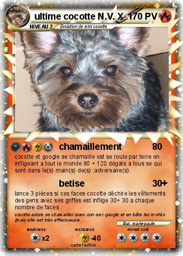 Pokemon ultime cocotte N.V. X