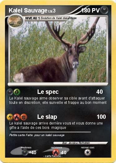 Pokemon Kalel Sauvage