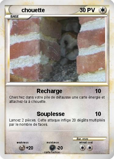 Pokemon chouette