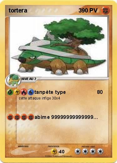 Pokemon tortera                                3
