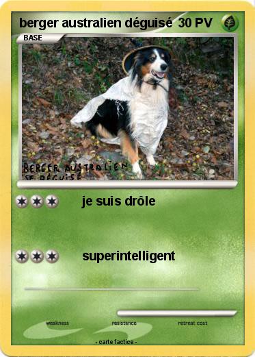 Pokemon berger australien déguisé