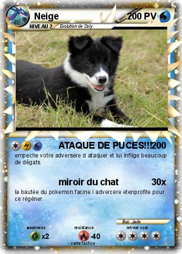 Pokemon Neige