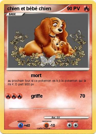 Pokemon chien et bébé chien