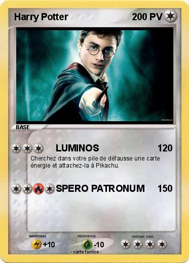 Pokemon Harry Potter