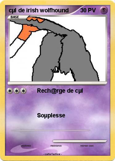 Pokemon cµl de irish wolfhound
