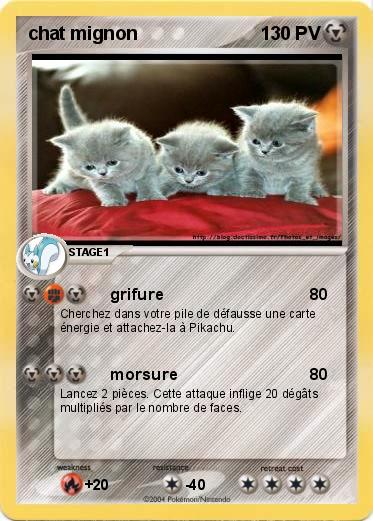 Pokemon chat mignon