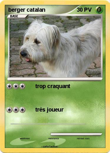 Pokemon berger catalan